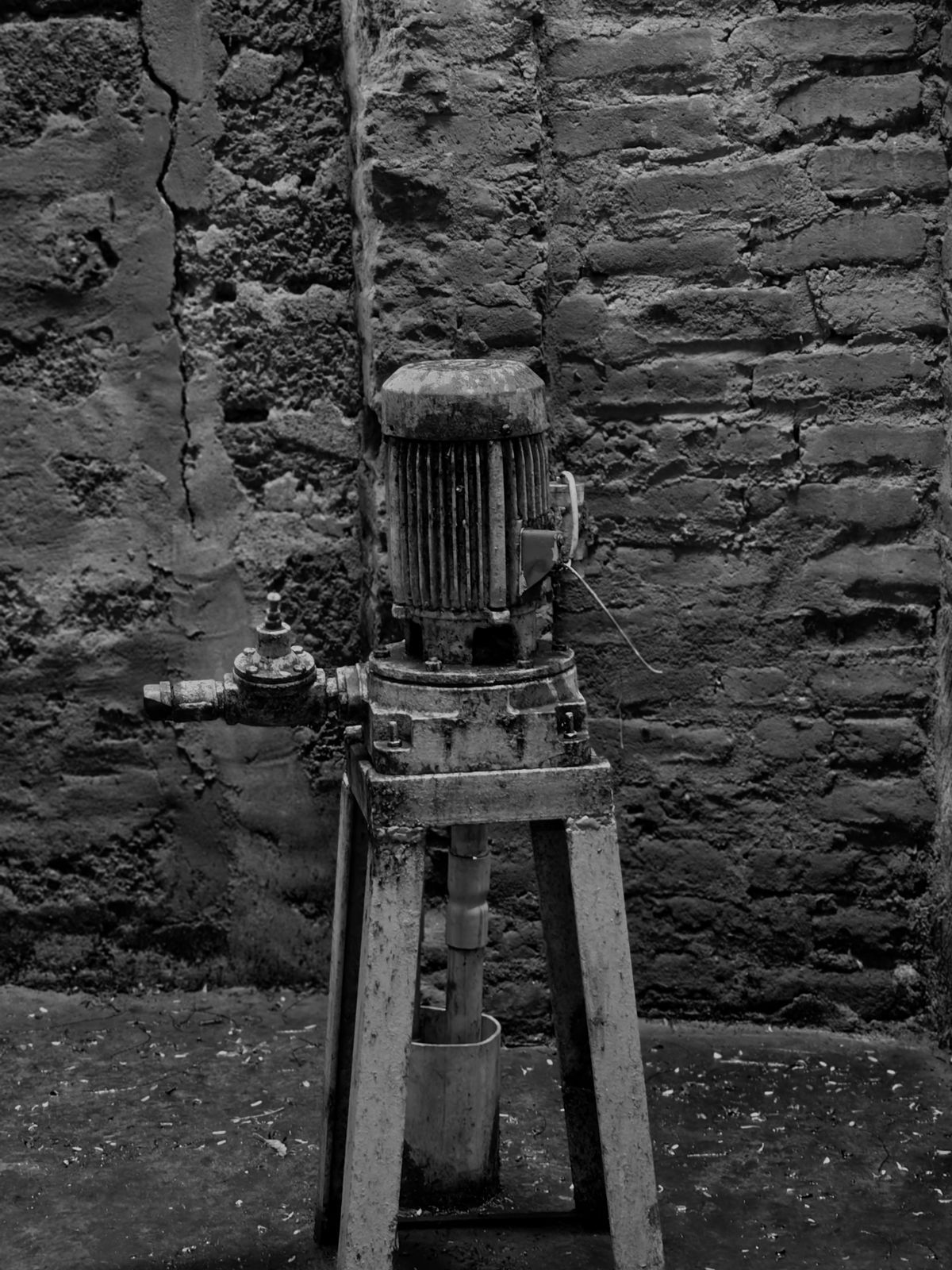 Photography - photo-3