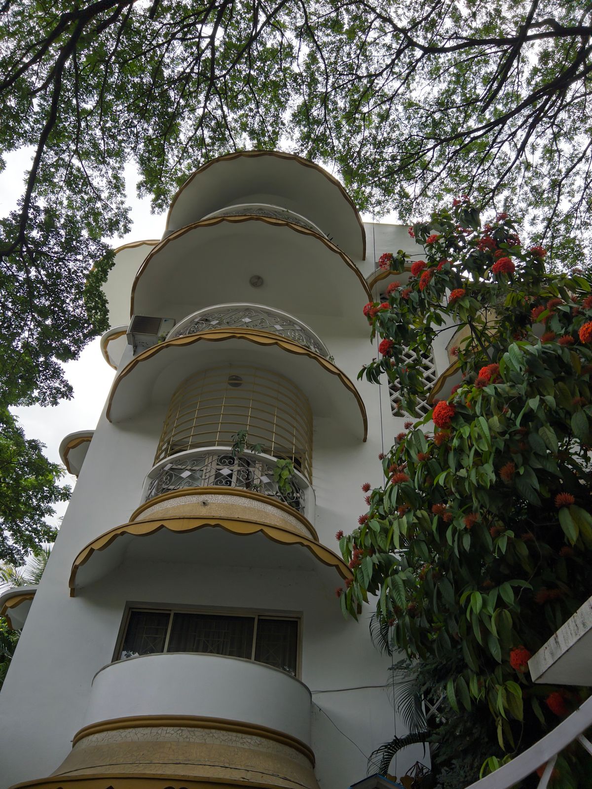 Photography - photo-52