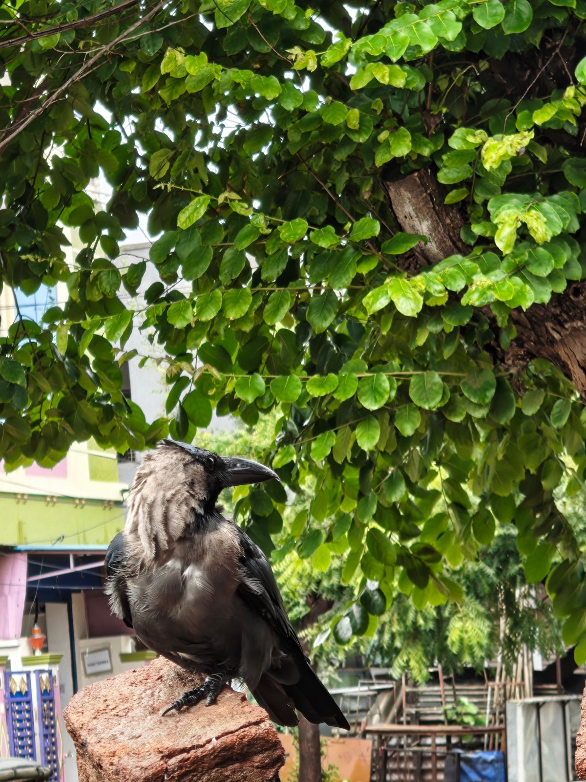 Photography - photo-61