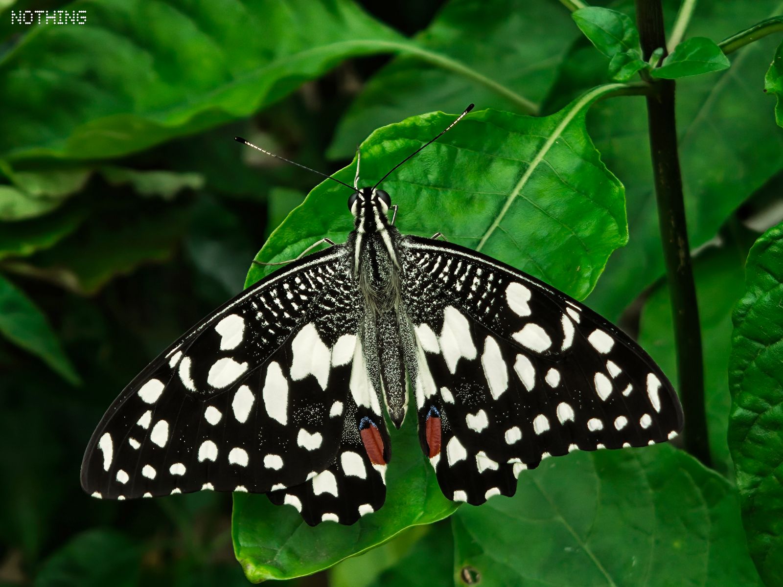 Photography - photo-63
