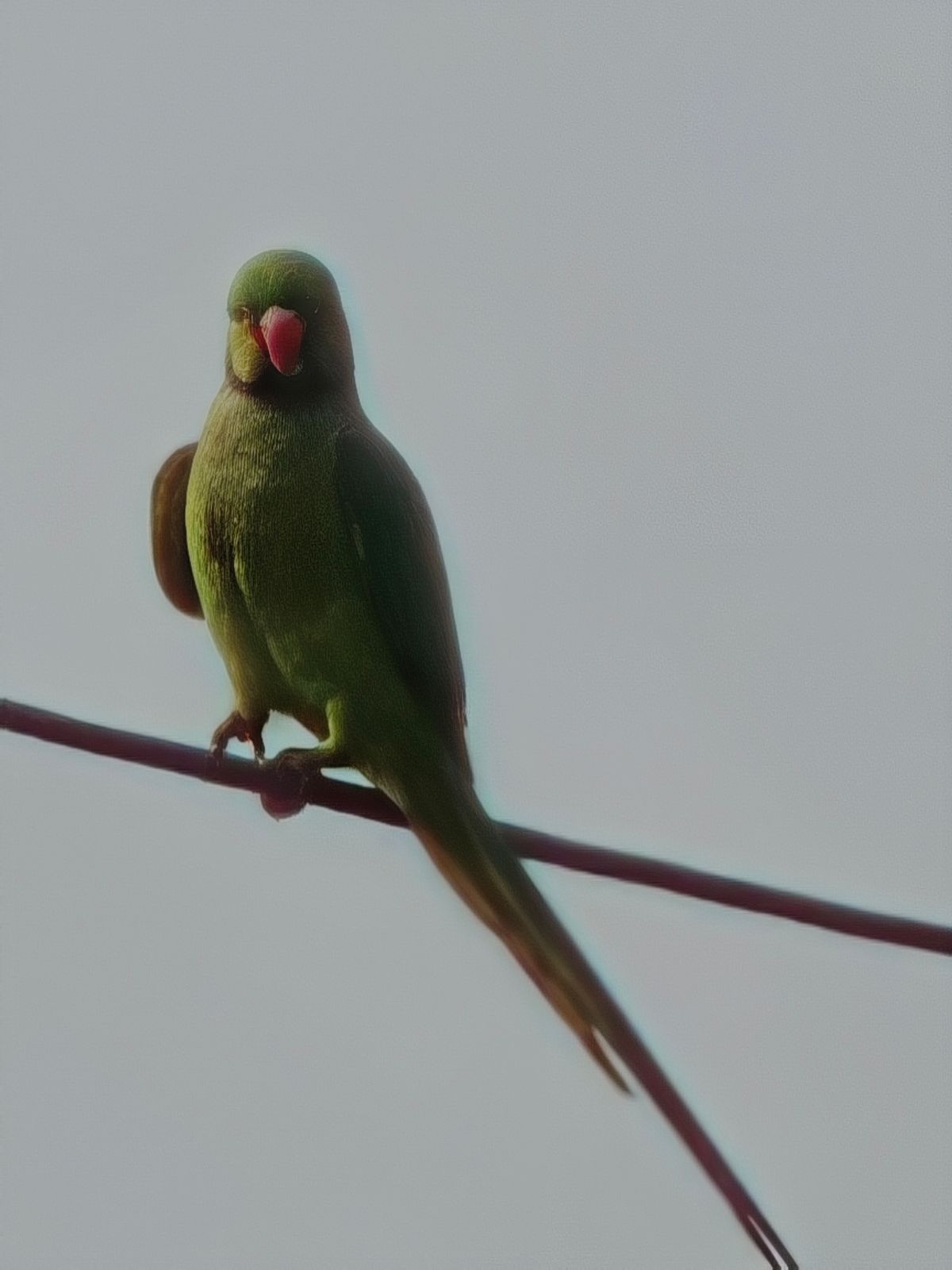 Photography - photo-67