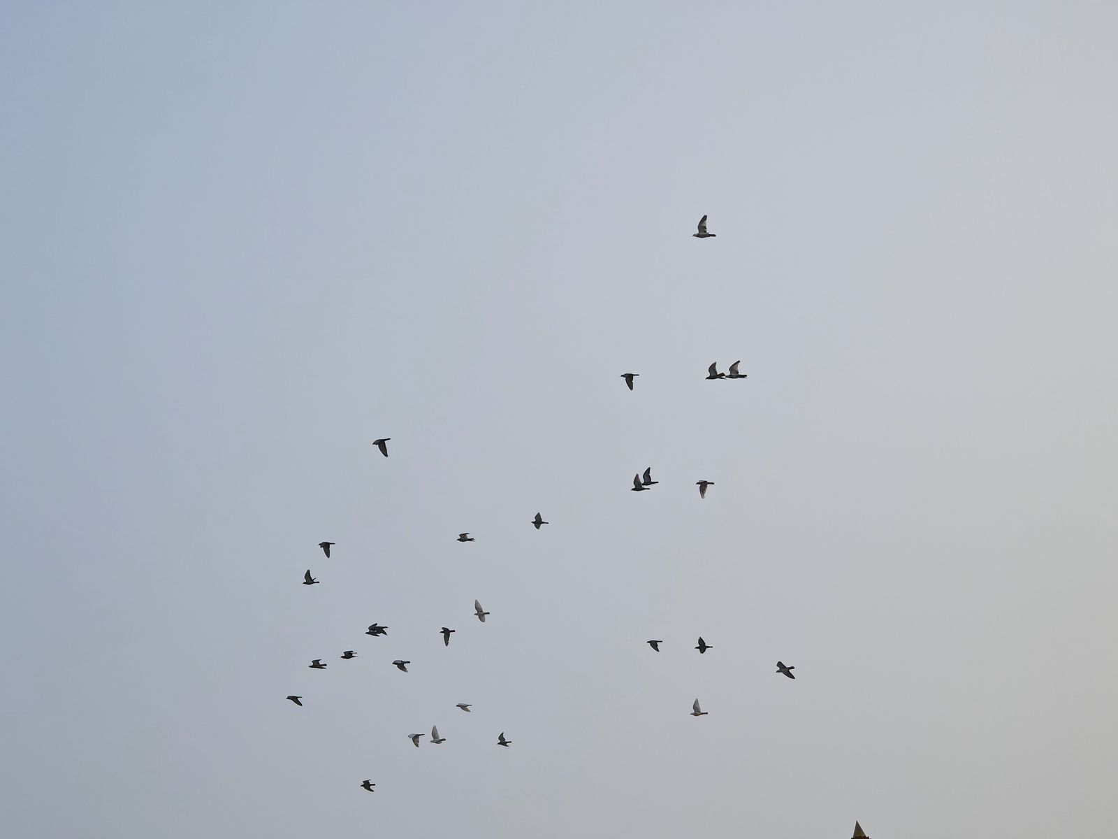 Photography - photo-70