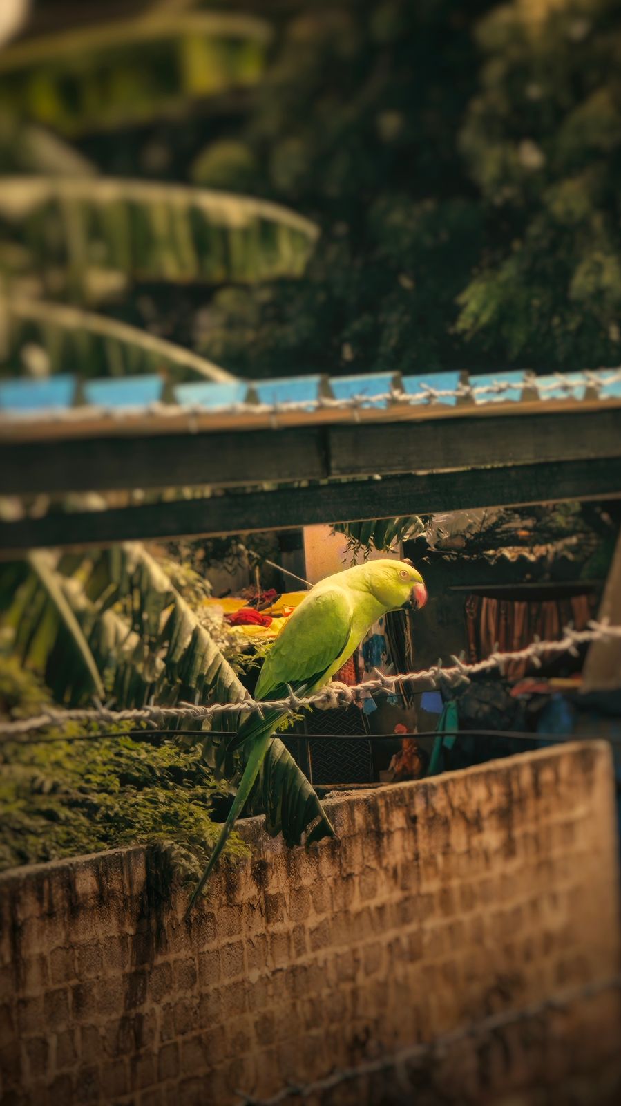 Photography - photo-71