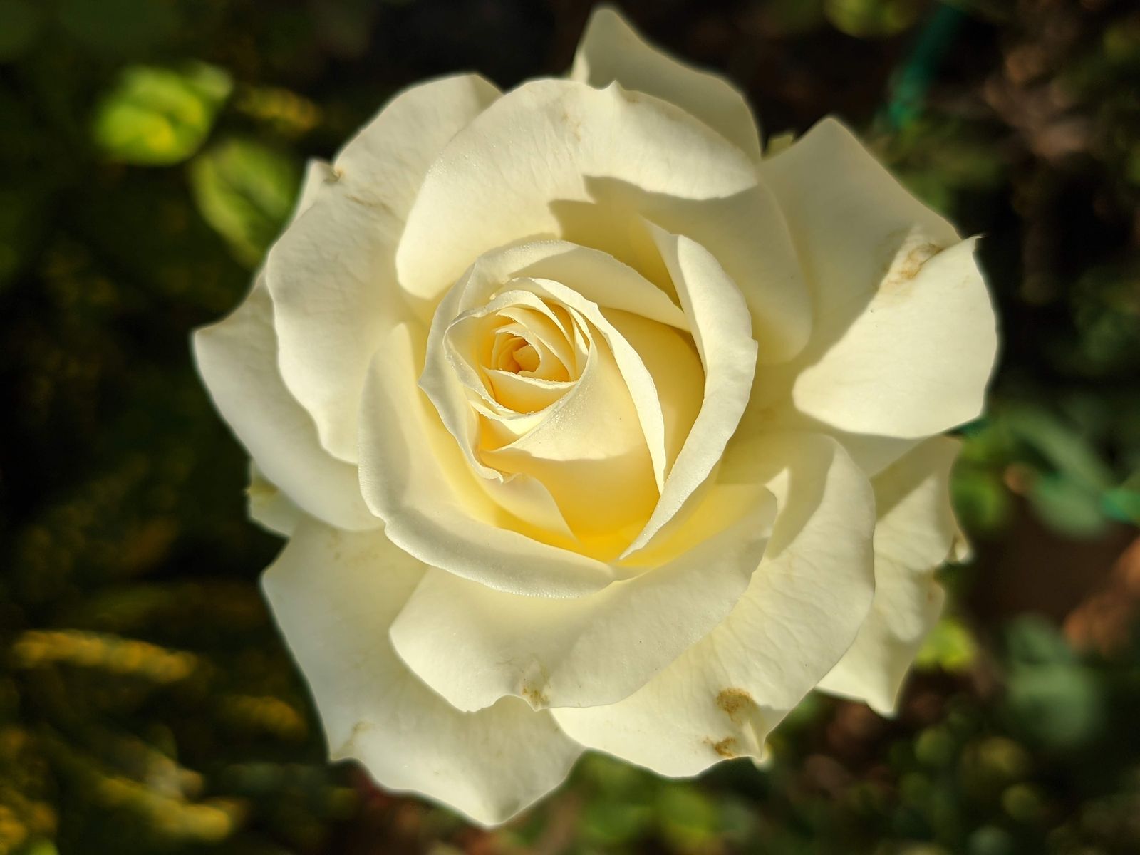 Photography - photo-77
