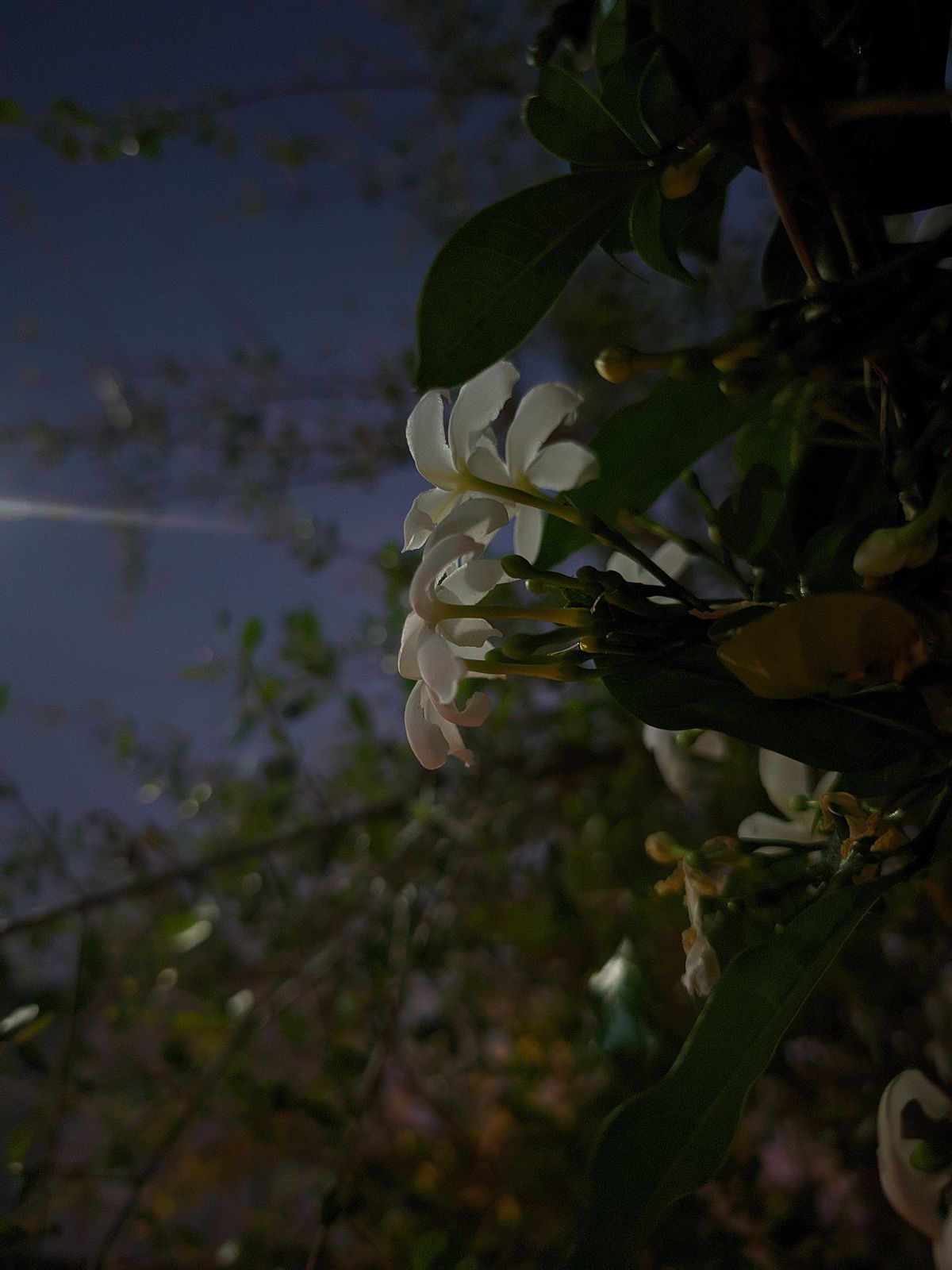 Photography - photo-80