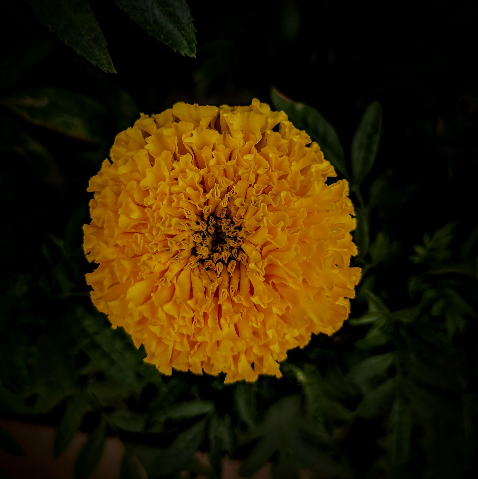 Photography - photo-84