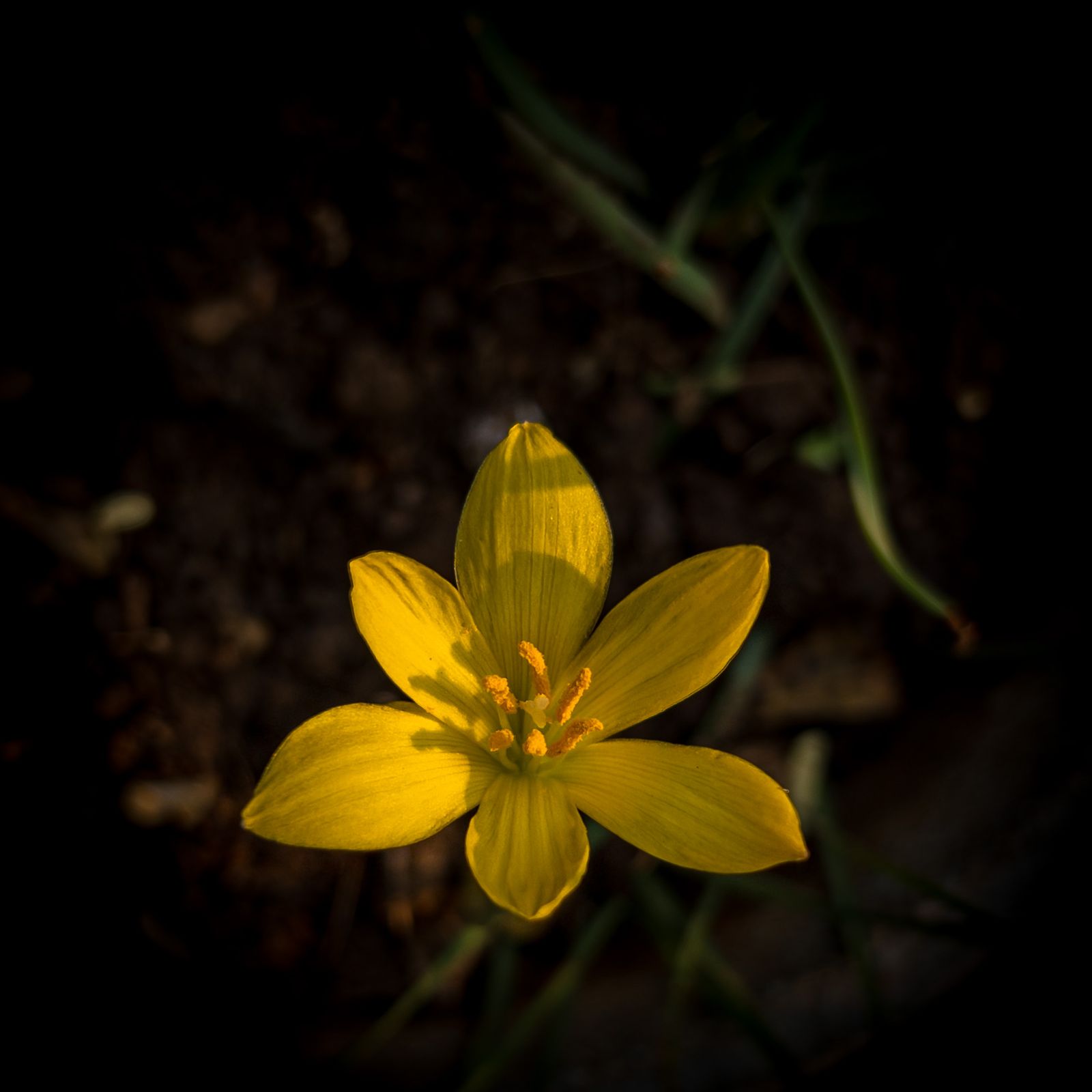 Photography - photo-86