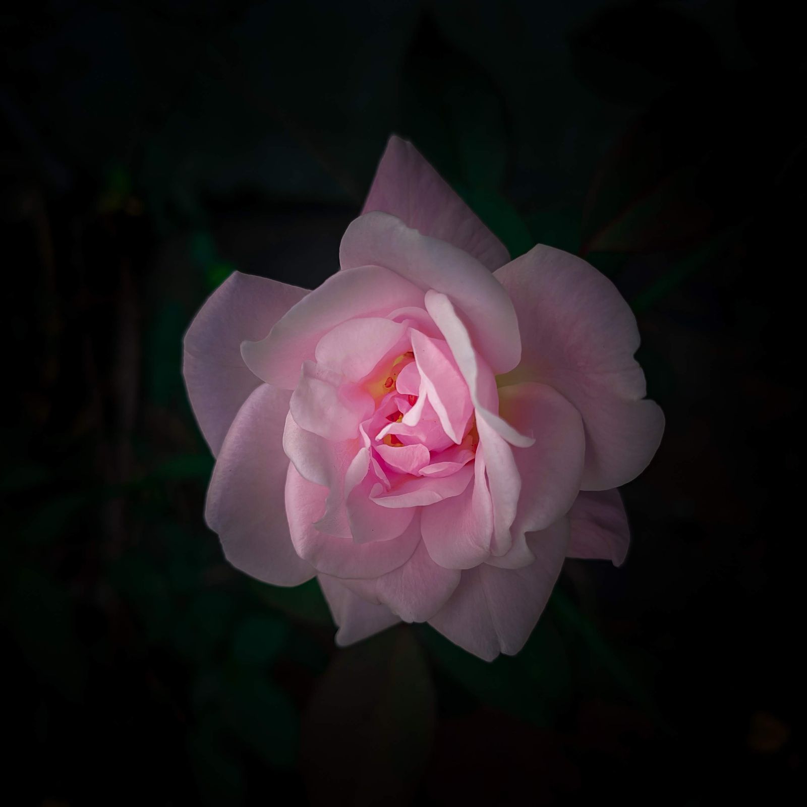 Photography - photo-87