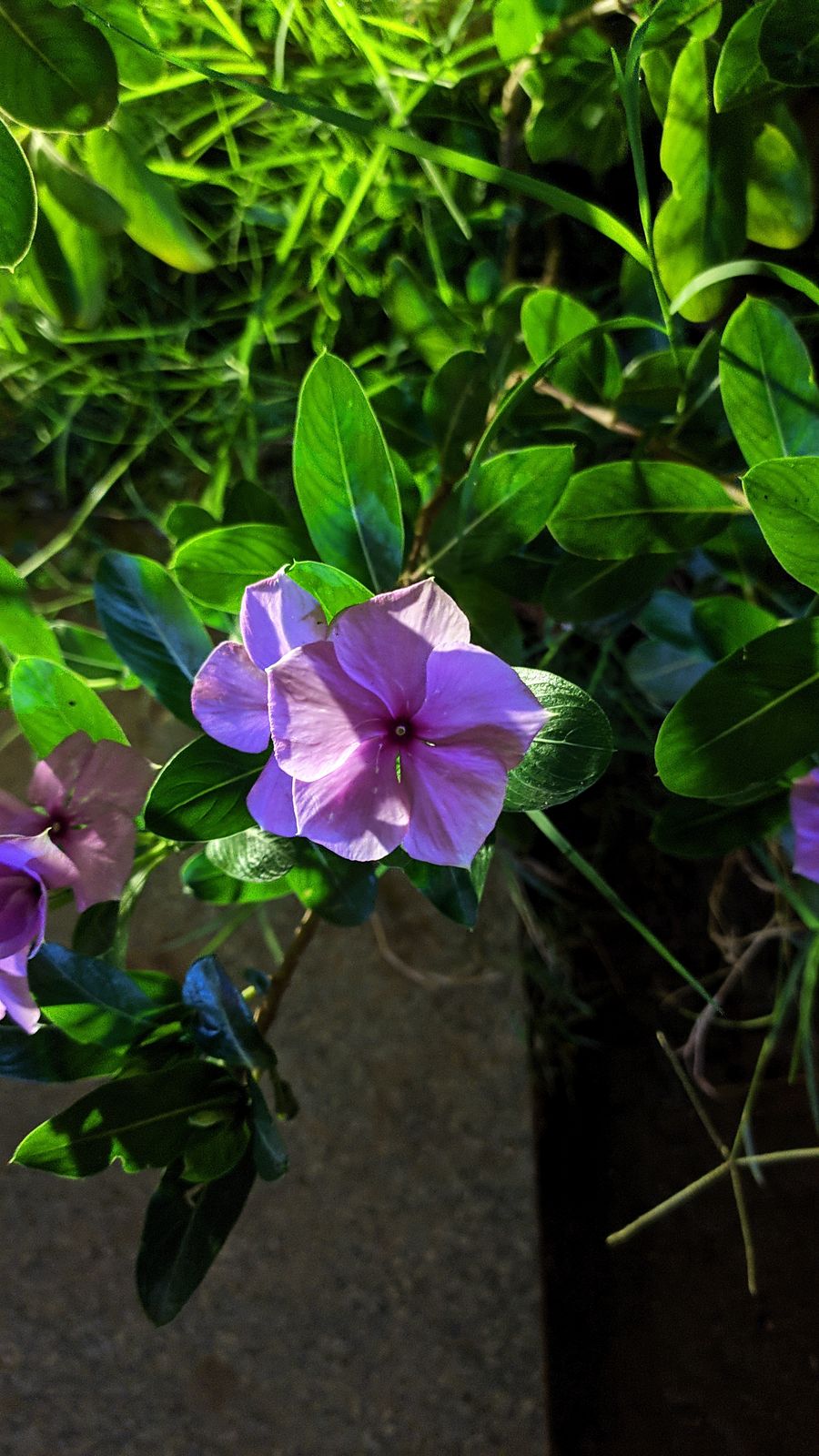 Photography - photo-88