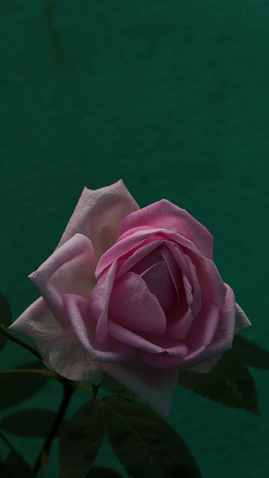 Photography - photo-89