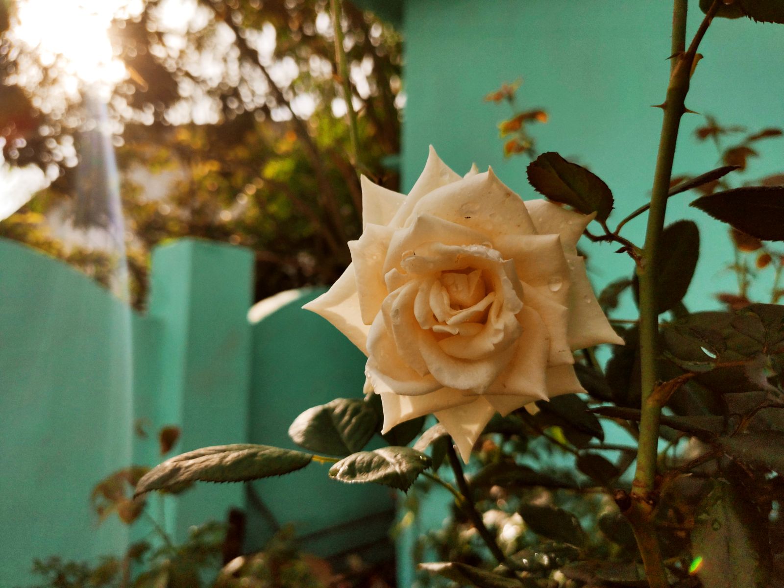 Photography - photo-92