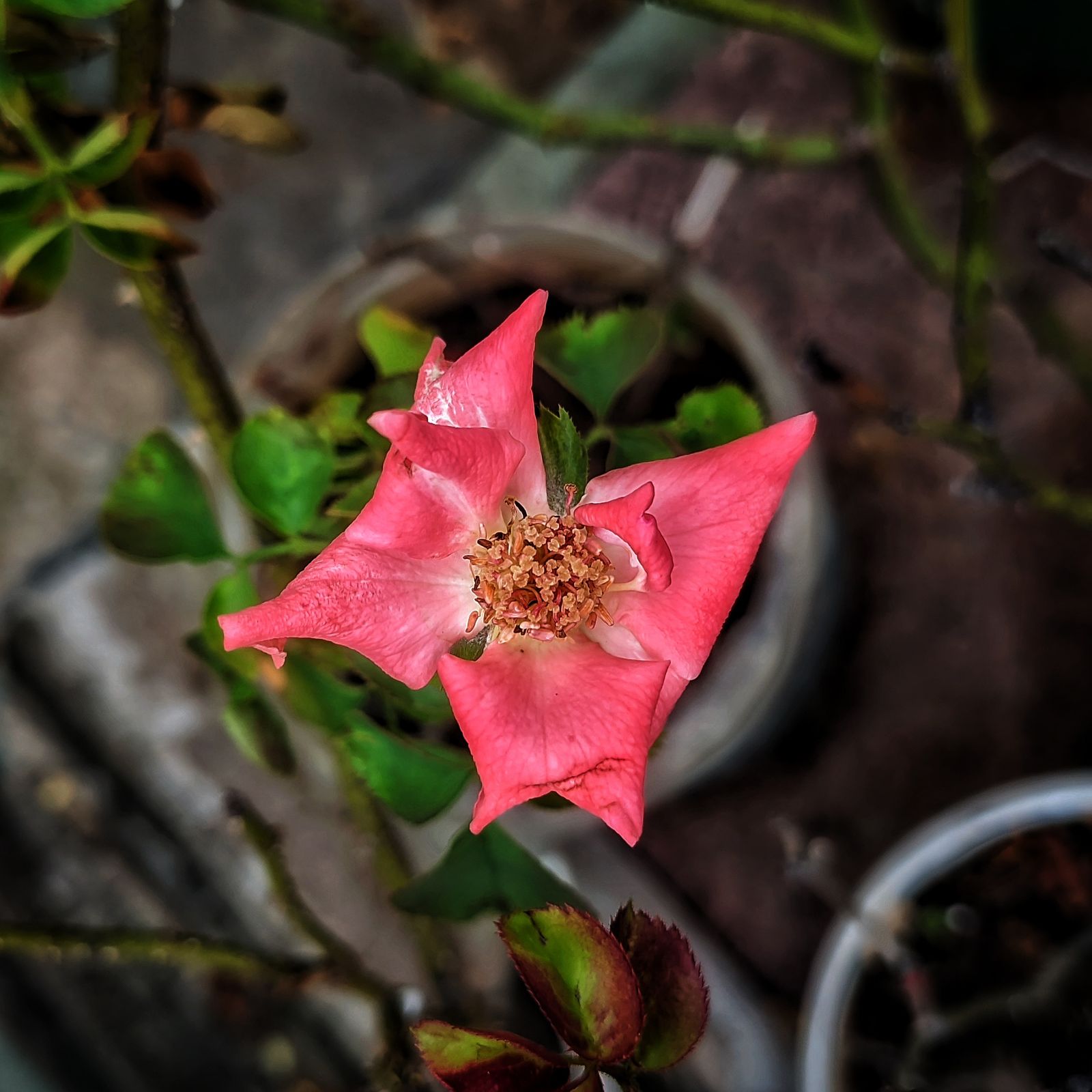 Photography - photo-93