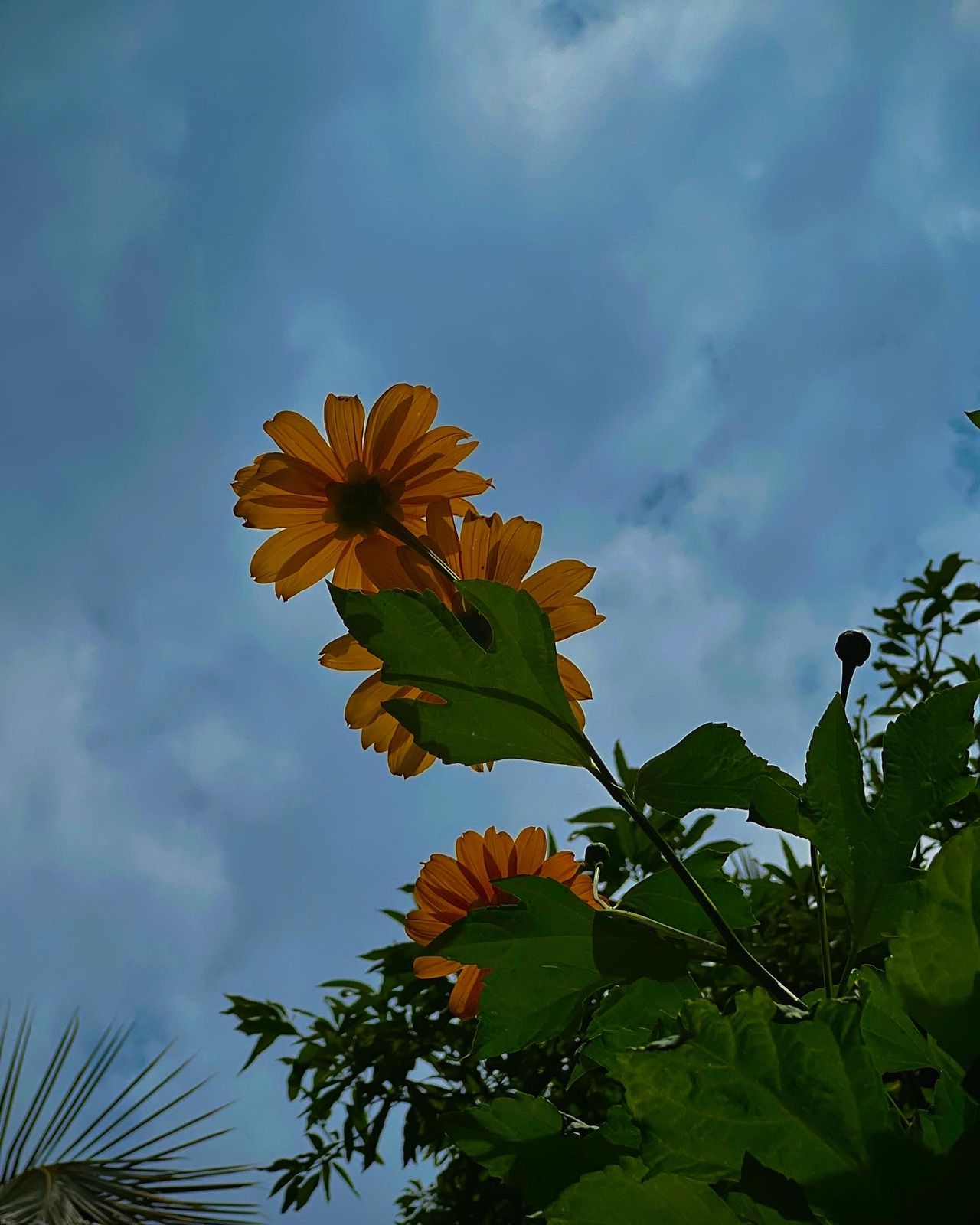 Photography - photo-99