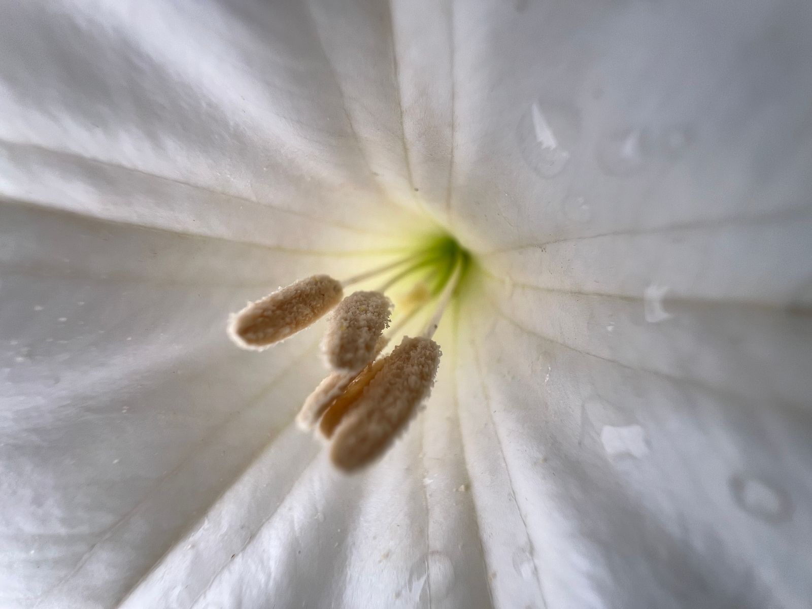 Photography - photo-100