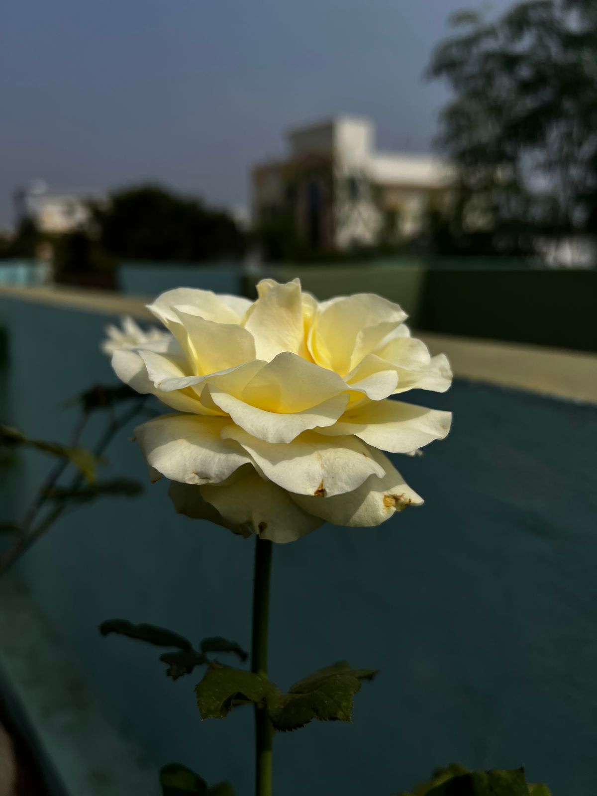 Photography - photo-101