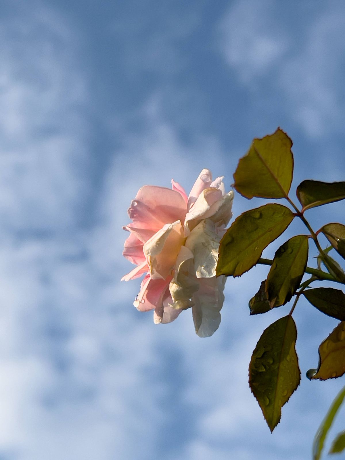 Photography - photo-102