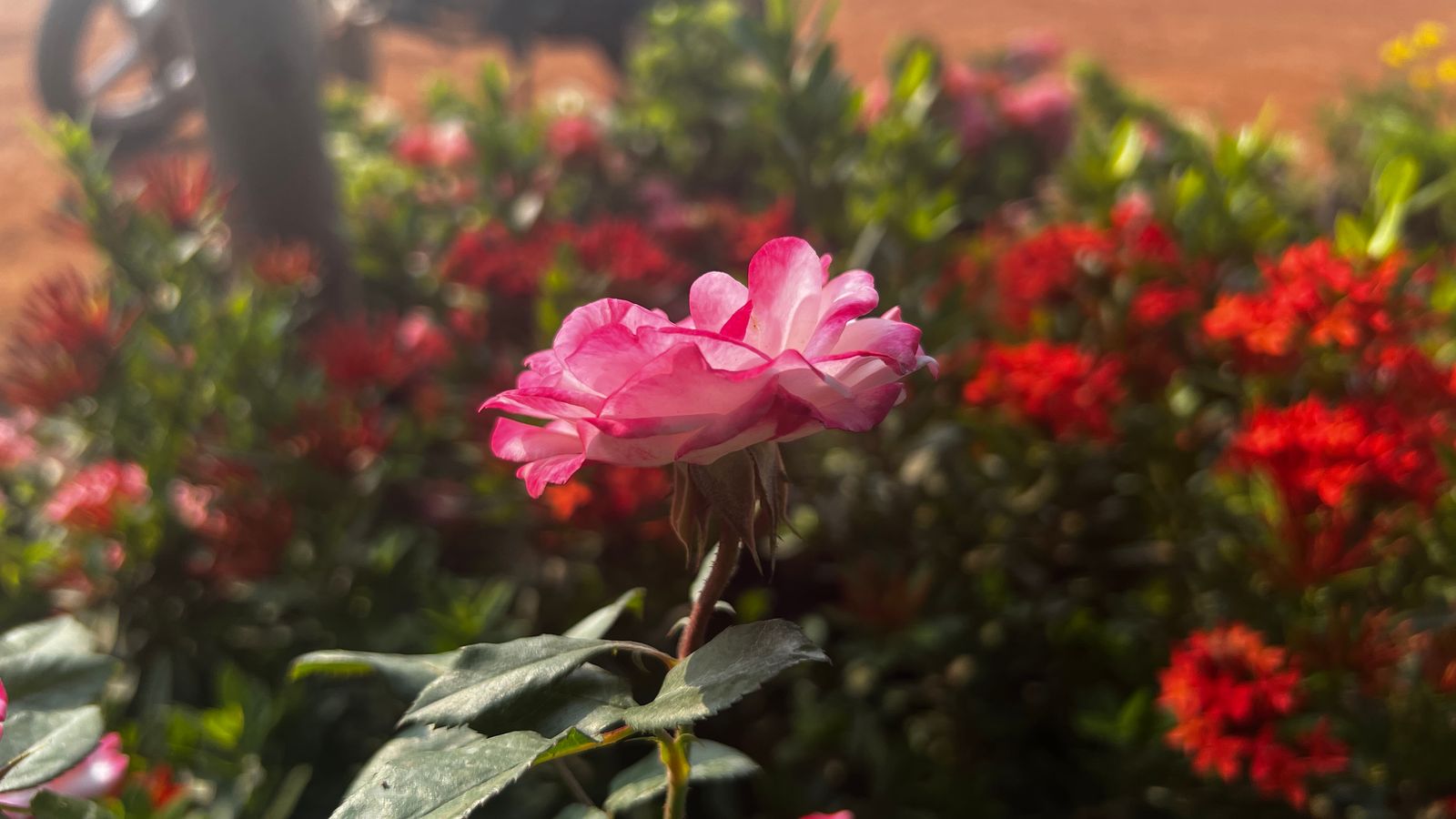 Photography - photo-105