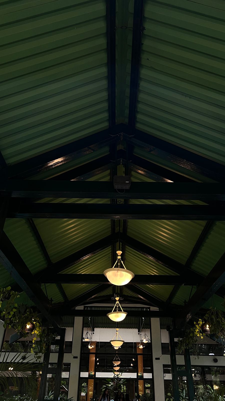 Photography - photo-166