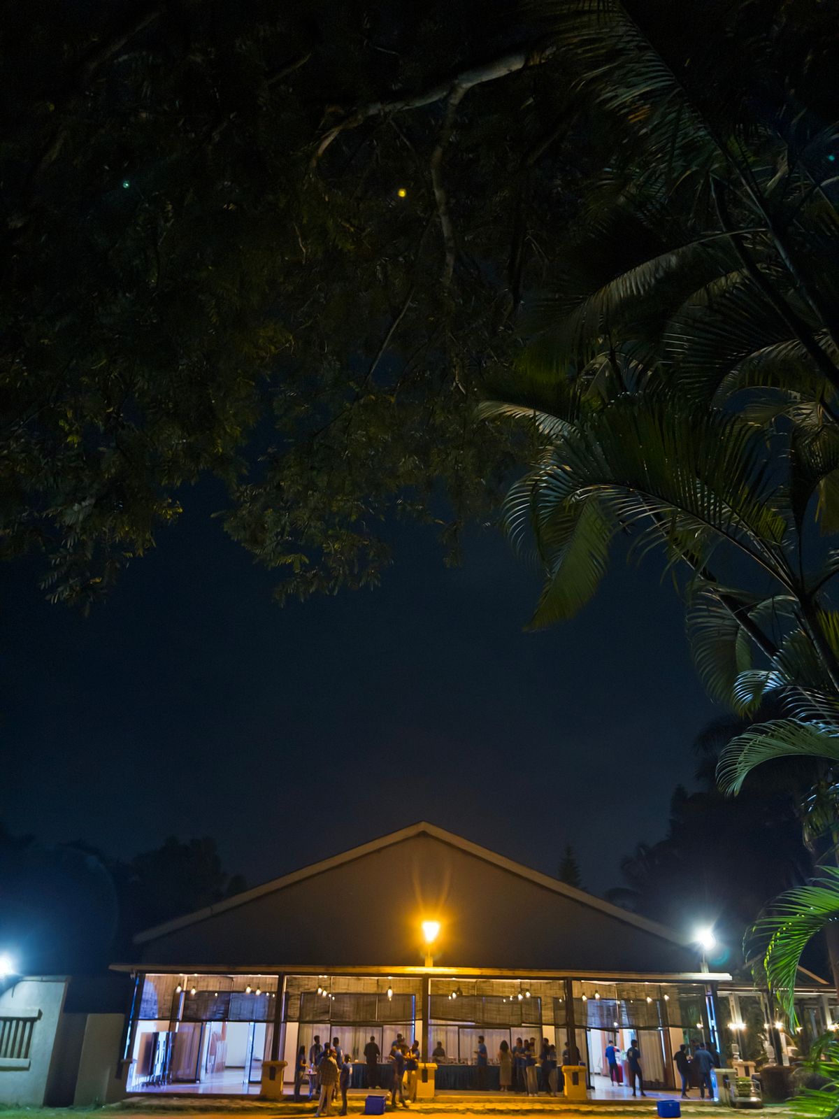 Photography - photo-175