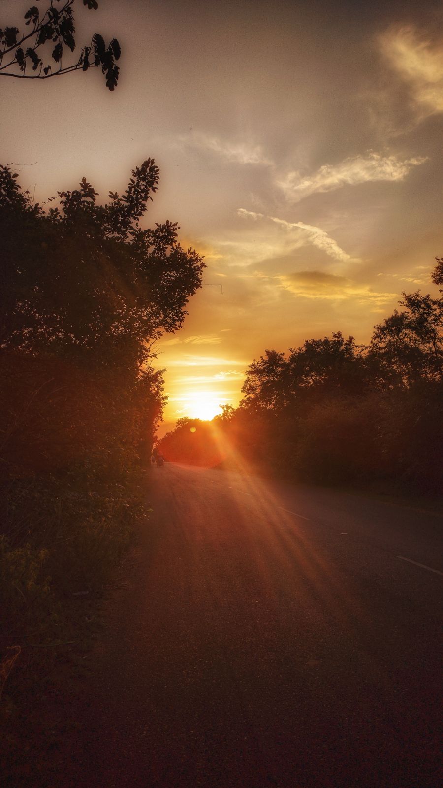 Photography - photo-181
