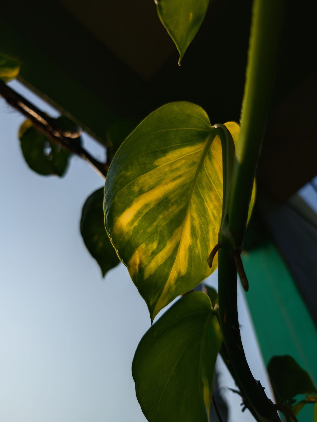 Photography - photo-182