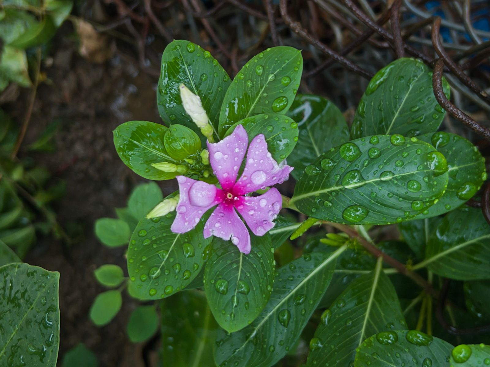 Photography - photo-183