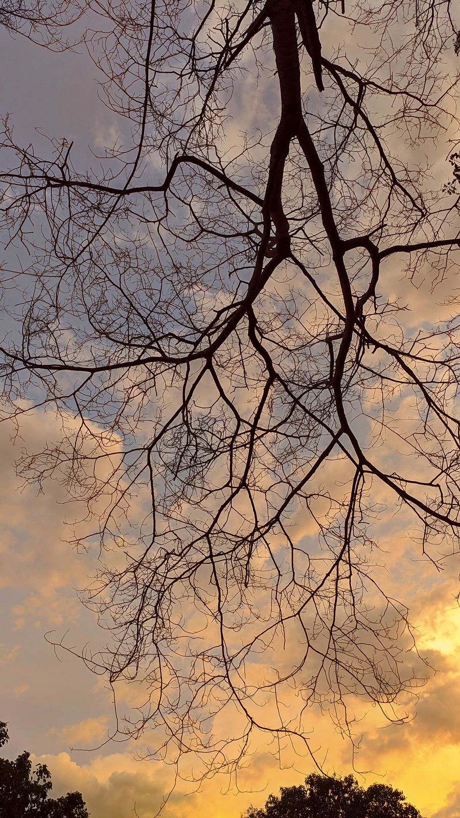Photography - photo-194
