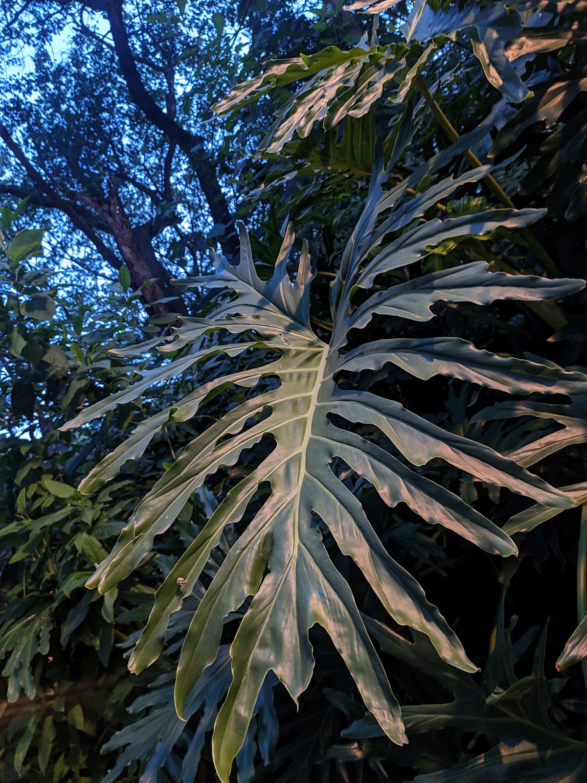 Photography - photo-195
