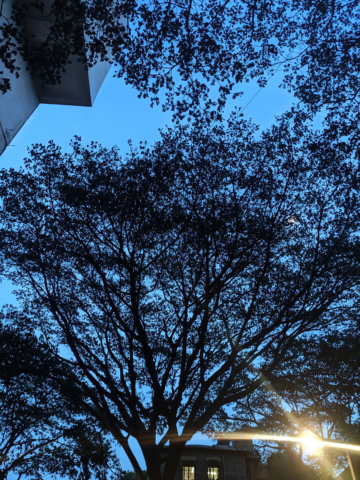Photography - photo-196