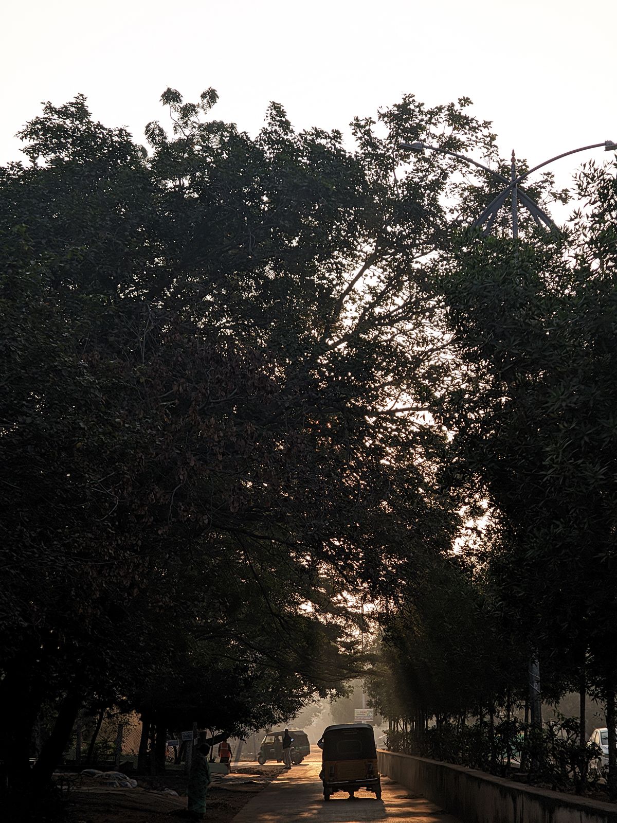 Photography - photo-197
