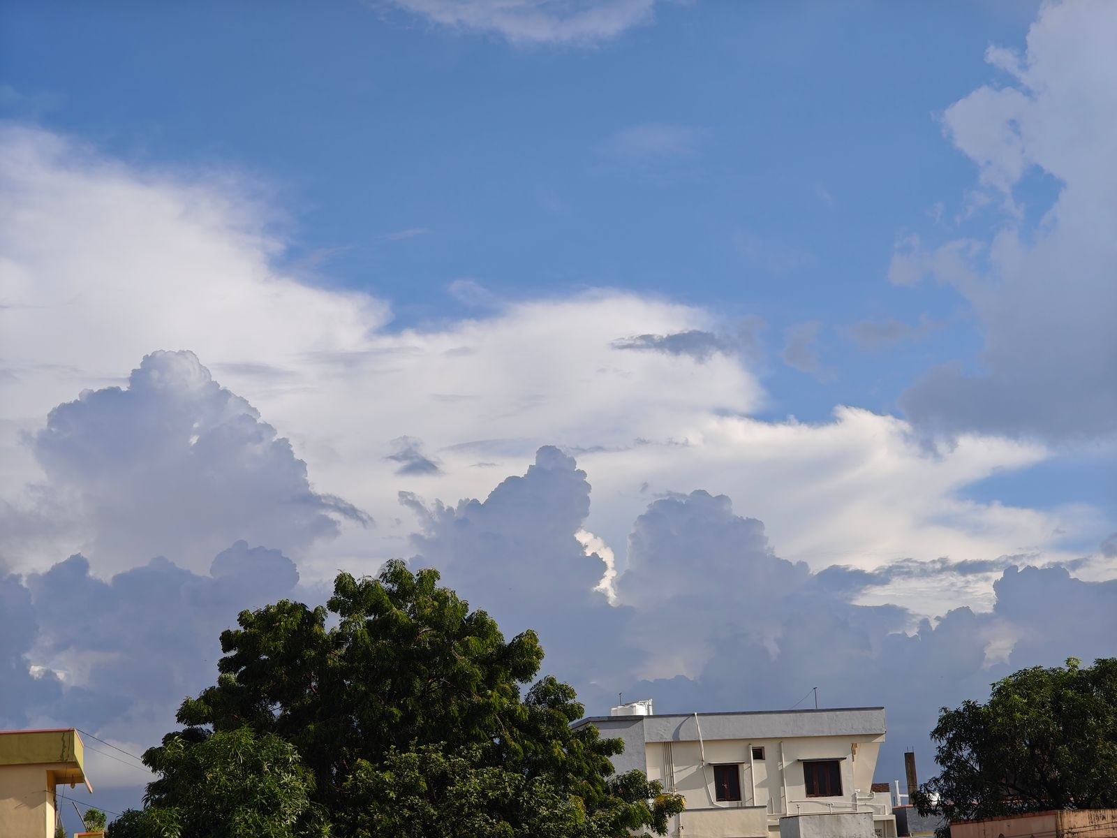 Photography - photo-199