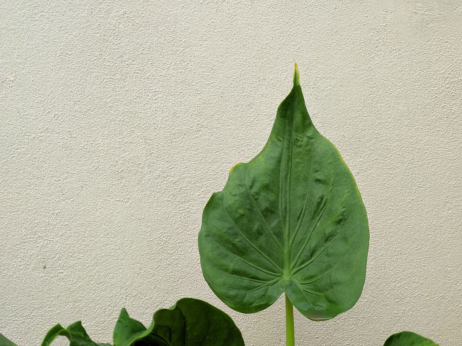 Photography - photo-208