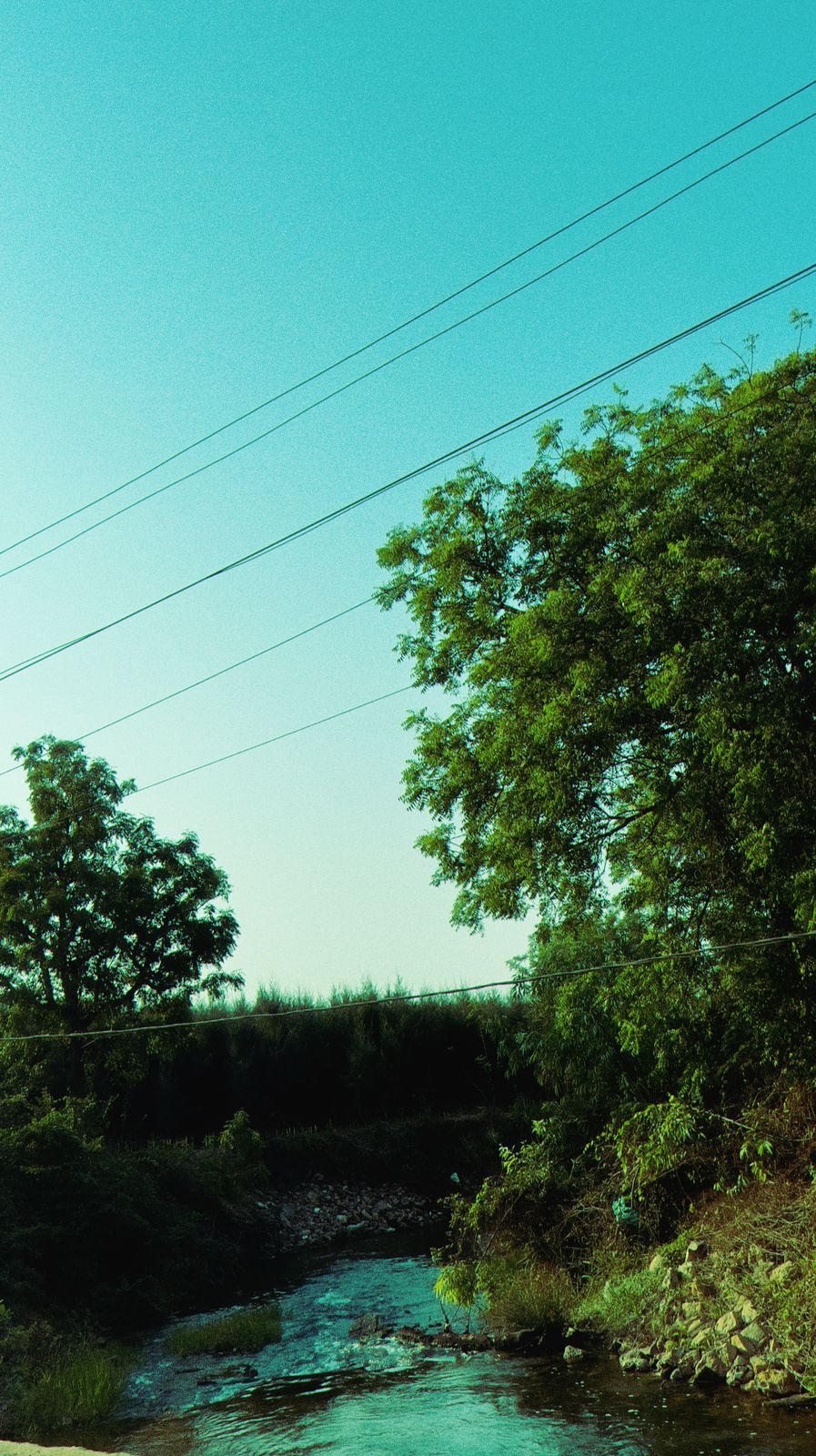 Photography - photo-212