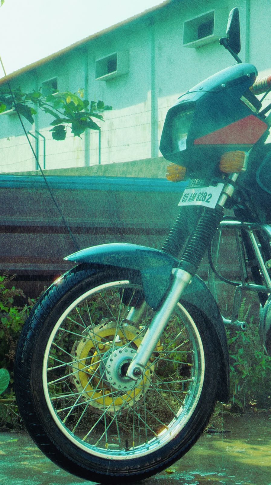Photography - photo-301